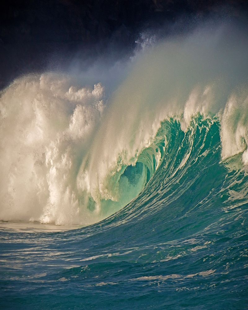 Waimea, Oahu Poster Print by Alan Klug - Item # VARPDXK2656D