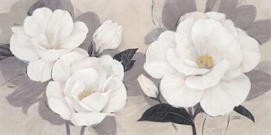 Unfolding Blossoms Poster Print by Ivo Stoyanov - Item # VARPDX545STO1031