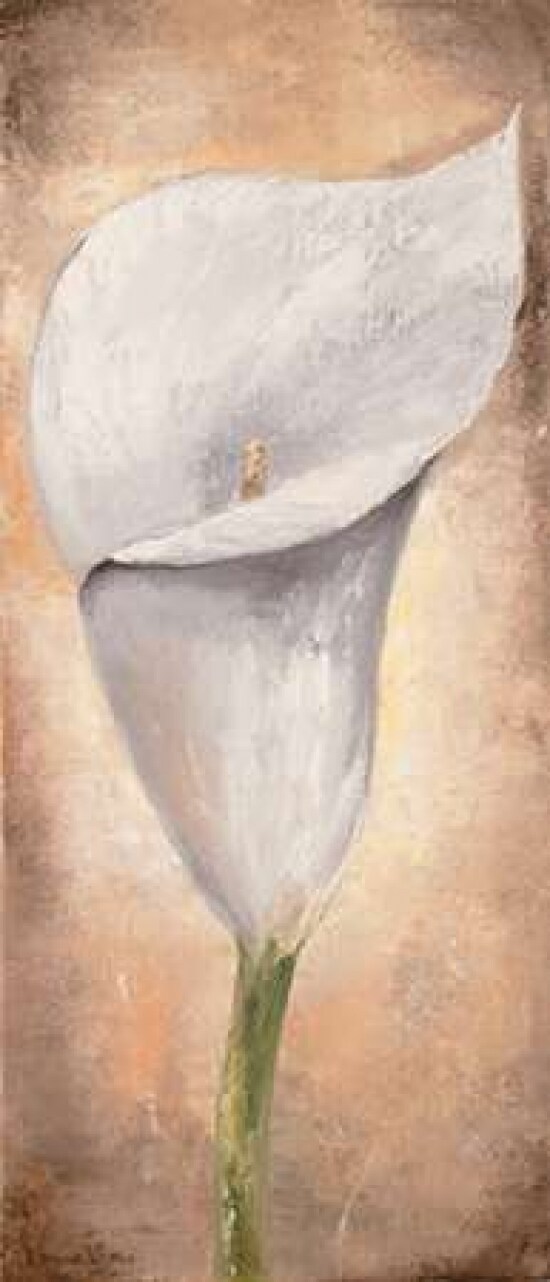 Calla Lilly III Poster Print by Lenna Lotus - Item # VARPDXMLV451