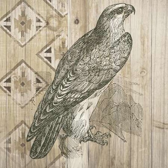 Natural History Lodge V Poster Print by Elyse DeNeige - Item # VARPDX18656