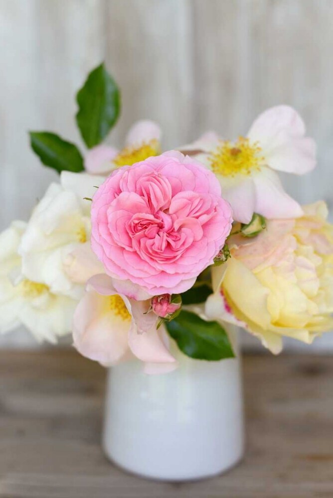 Country Bouquet I Poster Print by Sarah Gardner - Item # VARPDX11438