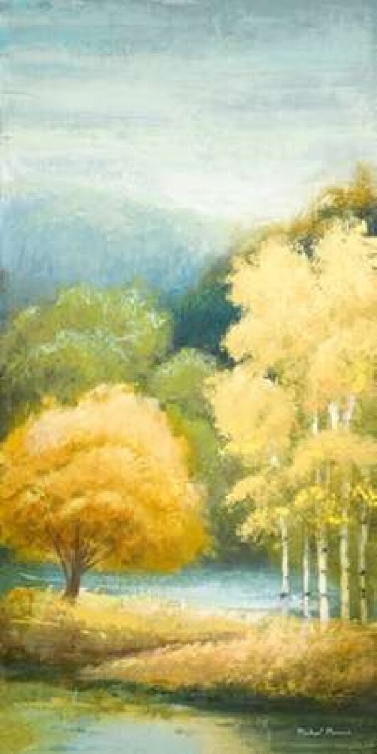 Birchwood I Poster Print by Michael Marcon - Item # VARPDX9760