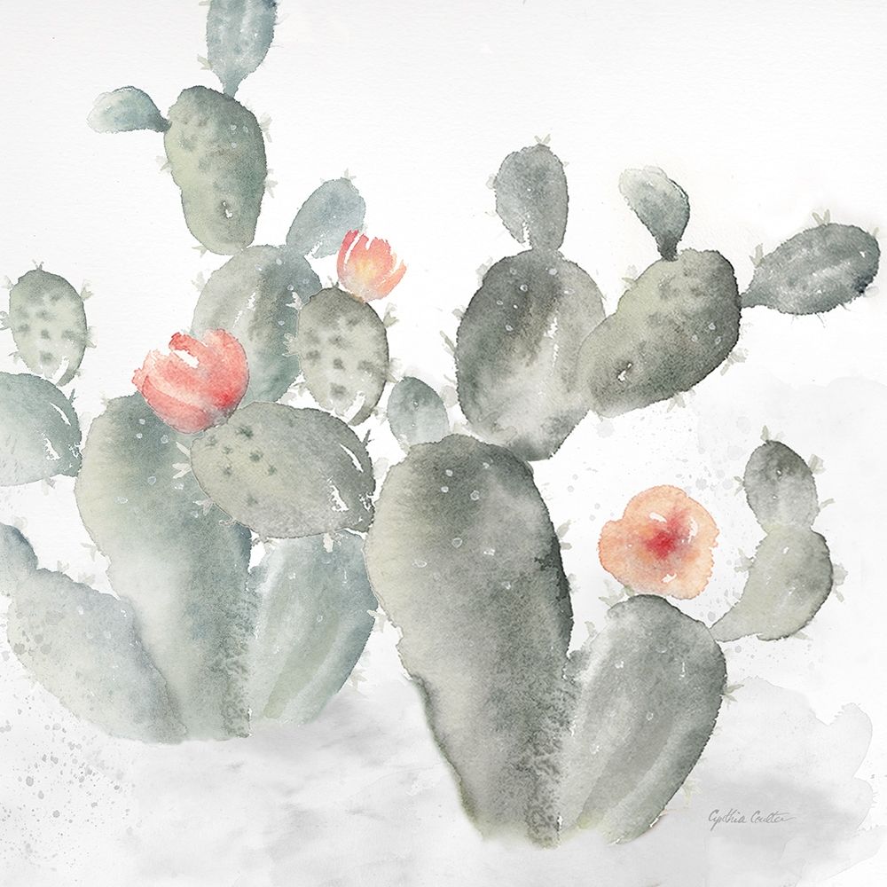 Cactus Garden Gray Blush III Poster Print by Cynthia Coulter - Item # VARPDXRB12676CC