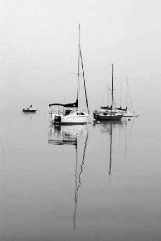 Red Sailboat II Poster Print by Tammy Putman - Item # VARPDXPSPTM191