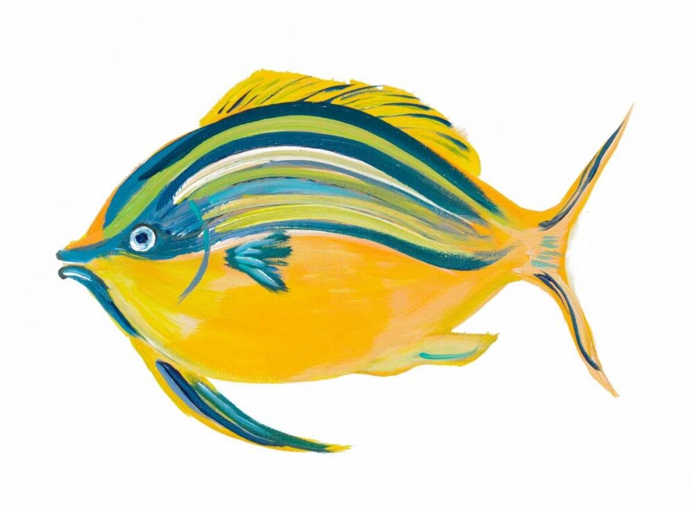 Fishy III Poster Print by Julie DeRice - Item # VARPDX11255B