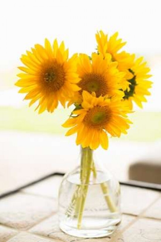 Sunflowers in Small Vase Poster Print by Karyn Millet - Item # VARPDXPSMLT450