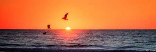 Masonboro Inlet Sunrise I Poster Print by Alan Hausenflock - Item # VARPDXPSHSF1785