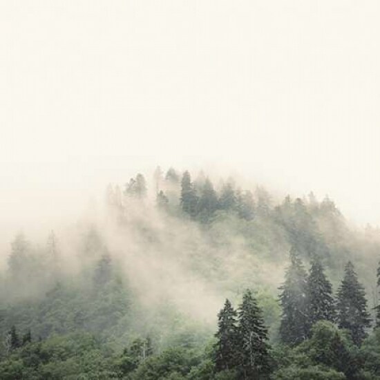Smoky Mountains Poster Print by Nicholas Bell - Item # VARPDXB3348D
