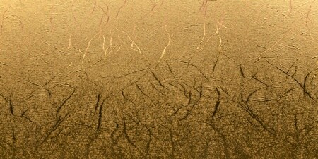 Cricut Premium Permanent Metallic 12"X48" Vinyl Roll-Textured Gold