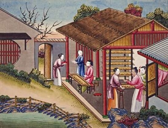 Silk Cocoons Poster Print by Chinese School - Item # VARPDX266077