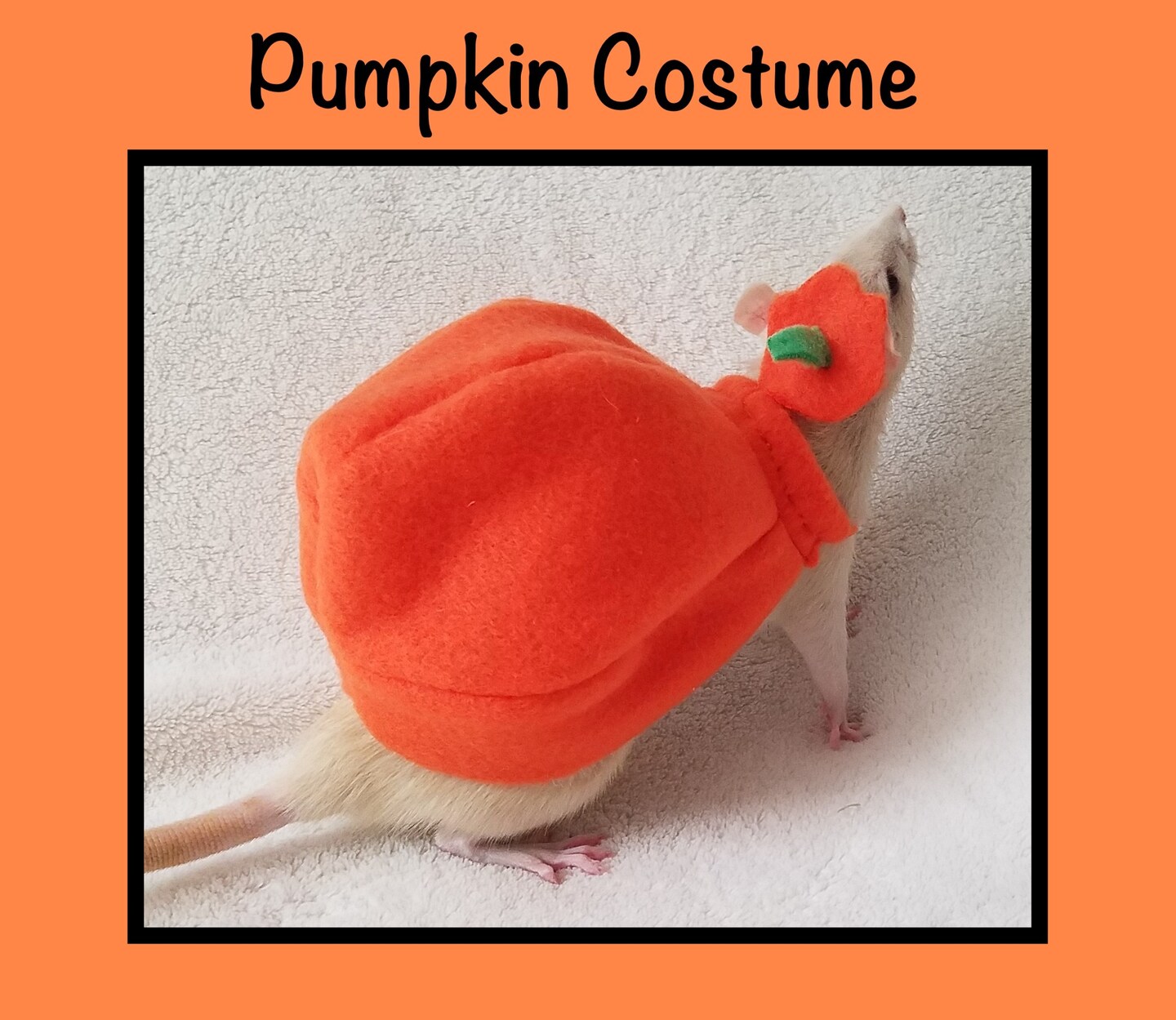 Pumpkin Costume for Pet Rats, Halloween Costume for Small Animals ...