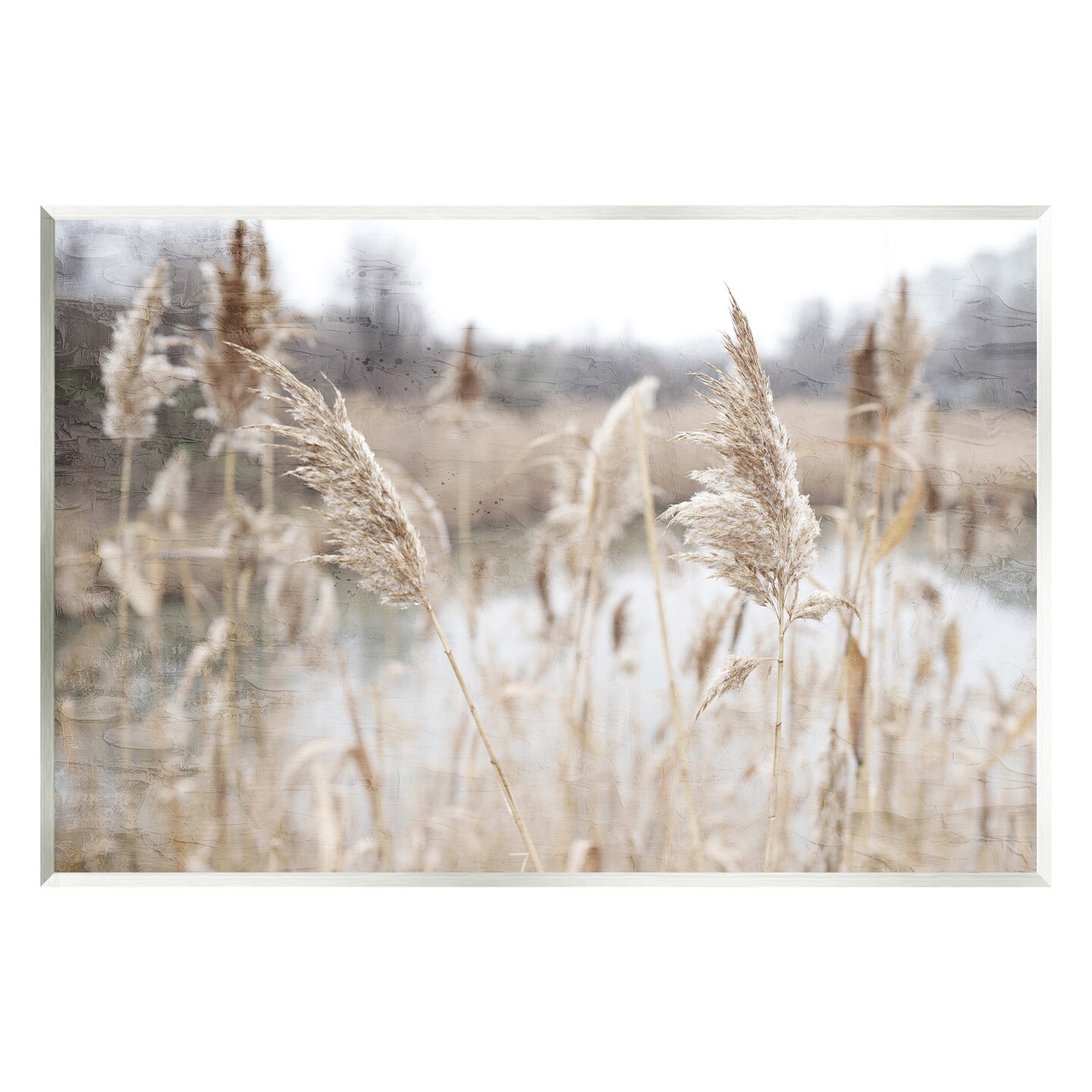 Stupell Industries Pampas Grass Reeds Lakeside Wall Plaque Art