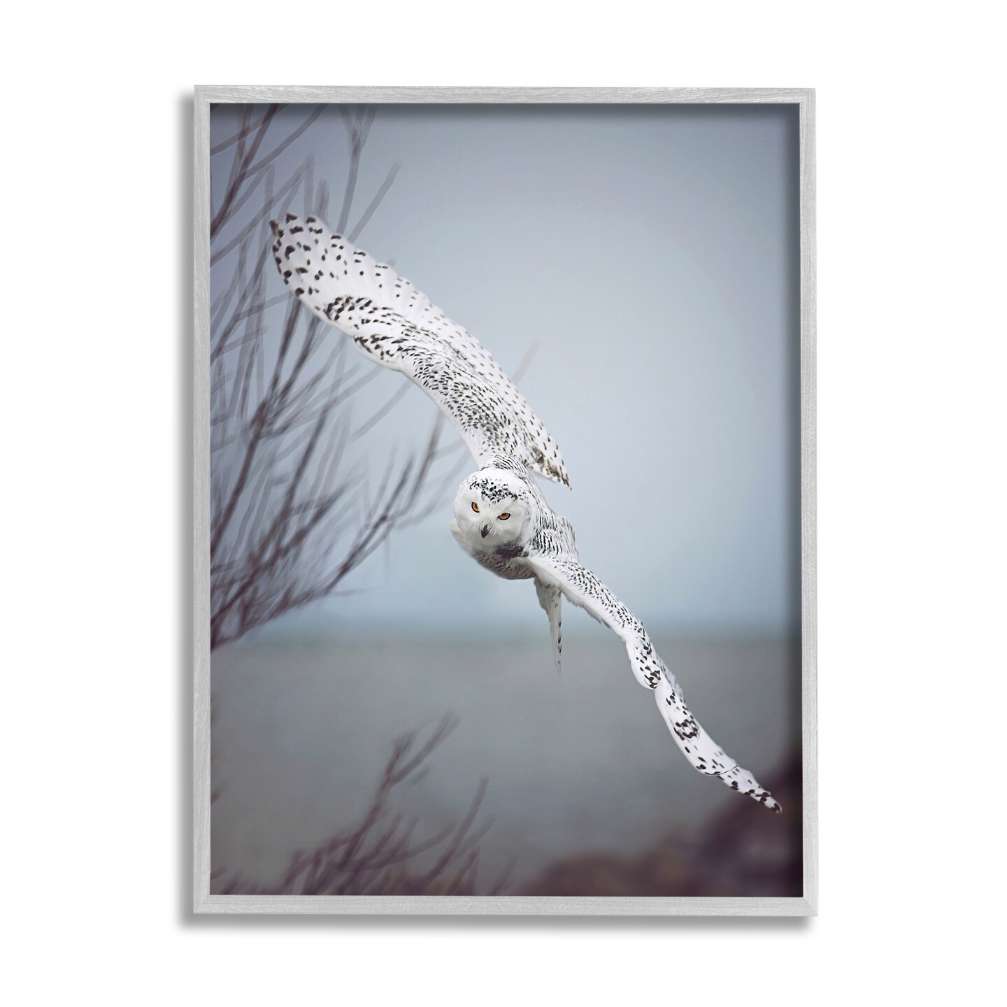 Stupell Industries Majestic Snowy Owl Photography Framed Giclee Art
