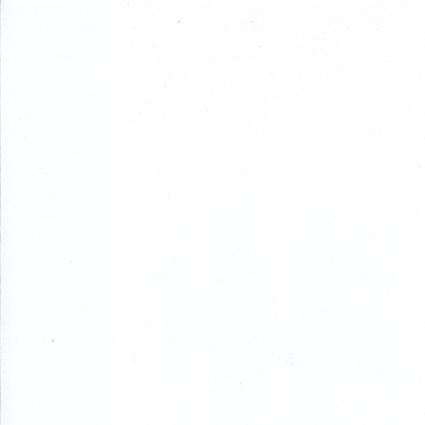 Custom Super White Mat, Available in Image Sizes 4x4" to 20x32", Outside Size is 4" Larger Than Image Size