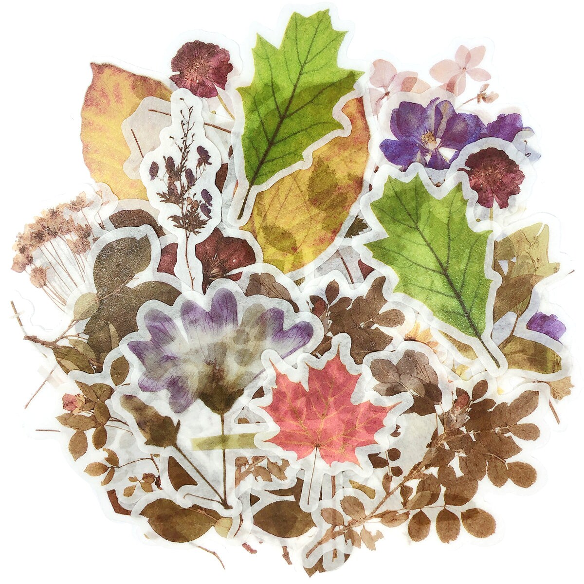 Wrapables Decorative Scrapbooking Washi Stickers, DIY Crafts for Stationery, Diary, Card Making (60 pcs)