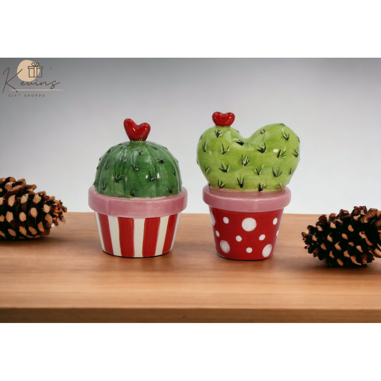 kevinsgiftshoppe Ceramic Cactus in Pots with Heart Salt and Pepper Shakers Valentines Day Decor   Kitchen Decor