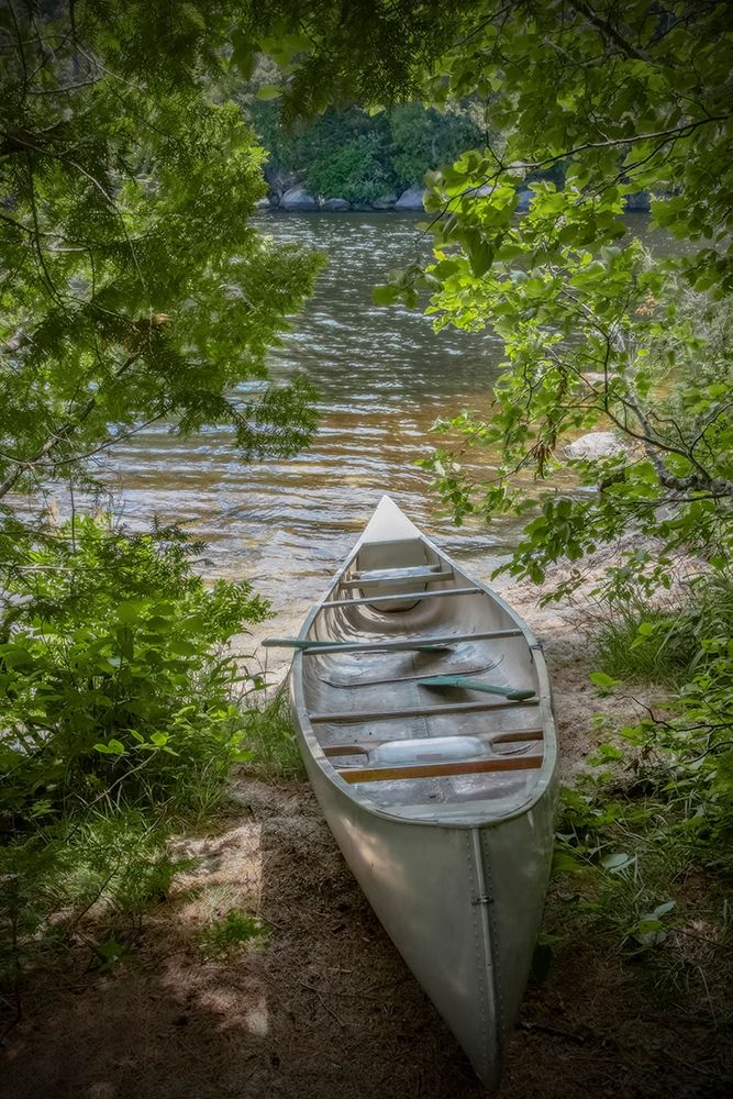 Canoe Poster Print by Brooke T. Ryan # R1308D