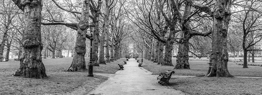 Avenue of trees, Green Park, London, FTBR-1839 Poster Print by Assaf Frank - Item # VARPDXAF20160415124C06