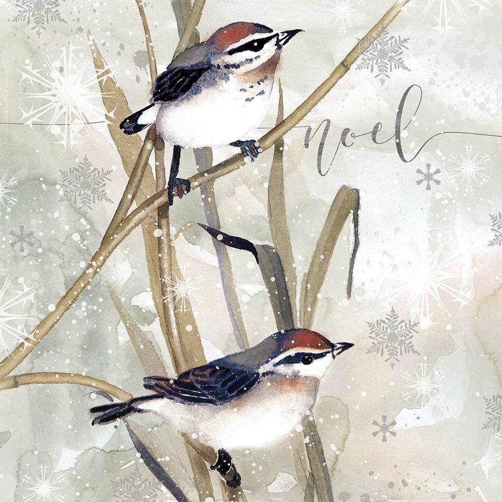 Winter Birds Noel Poster Print by Carol Robinson - Item # VARPDX19306