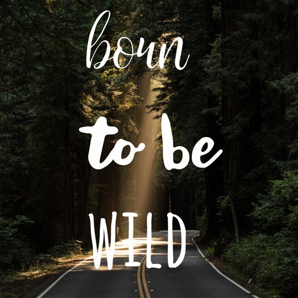 Born To Be Wild Poster Print by Matic,Jelena Matic - Item # VARPDXJMSQ064A