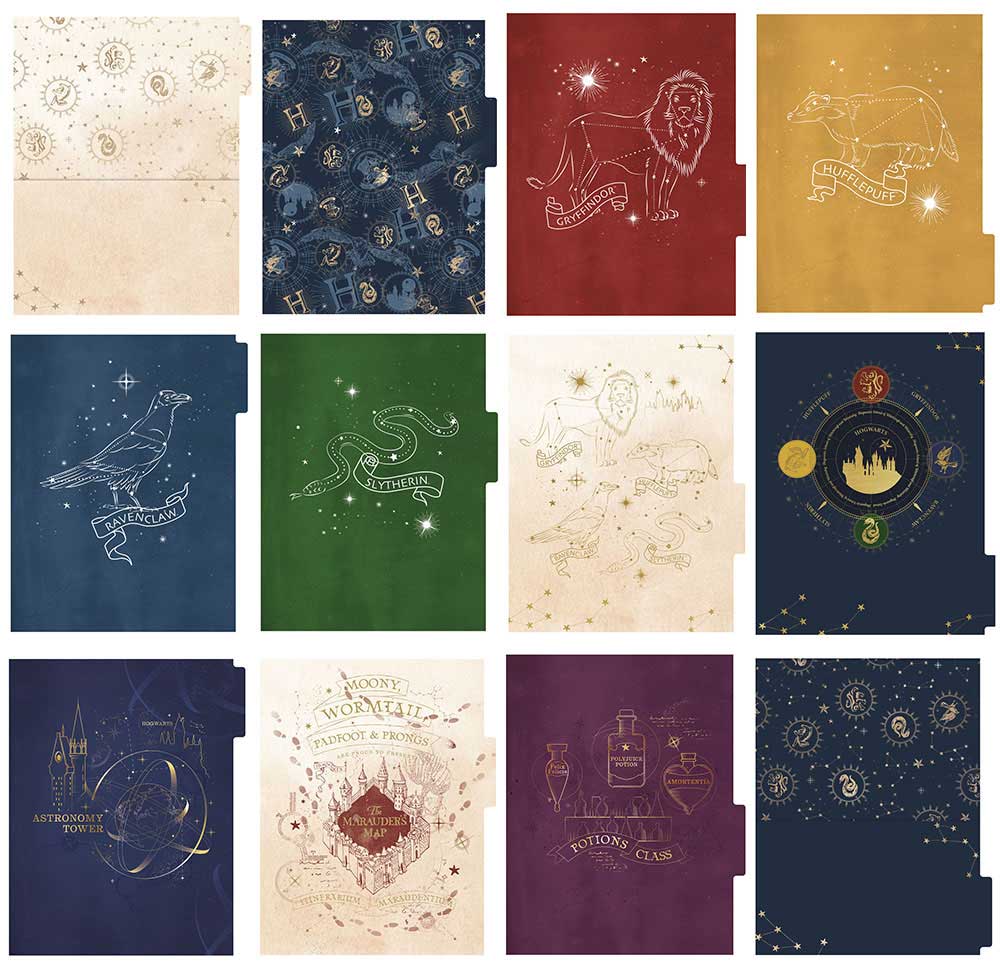 Harry Potter Navy Constellation Weekly Undated Planner Set