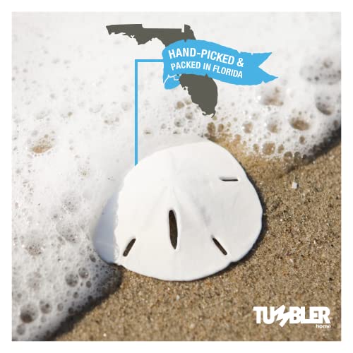 50 Pack Small Natural White Sand Dollars - Wedding - Sea Shell Craft 1 1/4" to 1 1/2" - Hand Picked and Professionally Packed