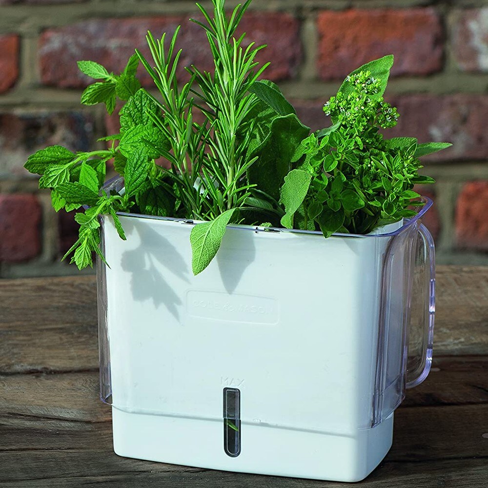 Cole & Mason Fresh Herb Keeper Container