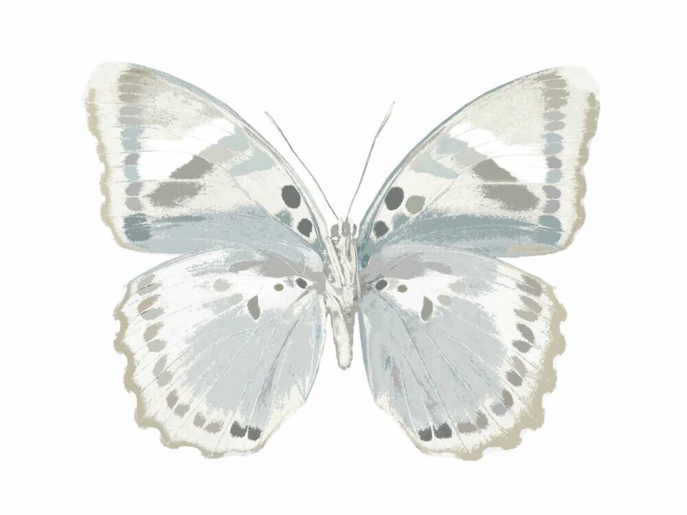 Butterfly in Mandarin Poster Print by Julia Bosco # JBC113342