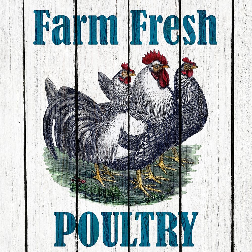 Farm Fresh 2 Poster Print by Allen Kimberly - Item # VARPDXKASQ577B