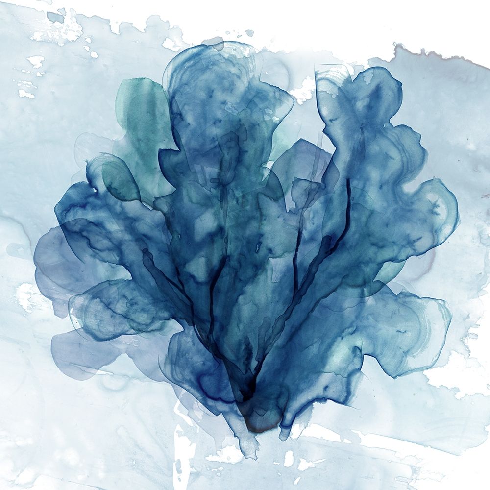 Coastal Coral II Poster Print by Carol Robinson # 41739