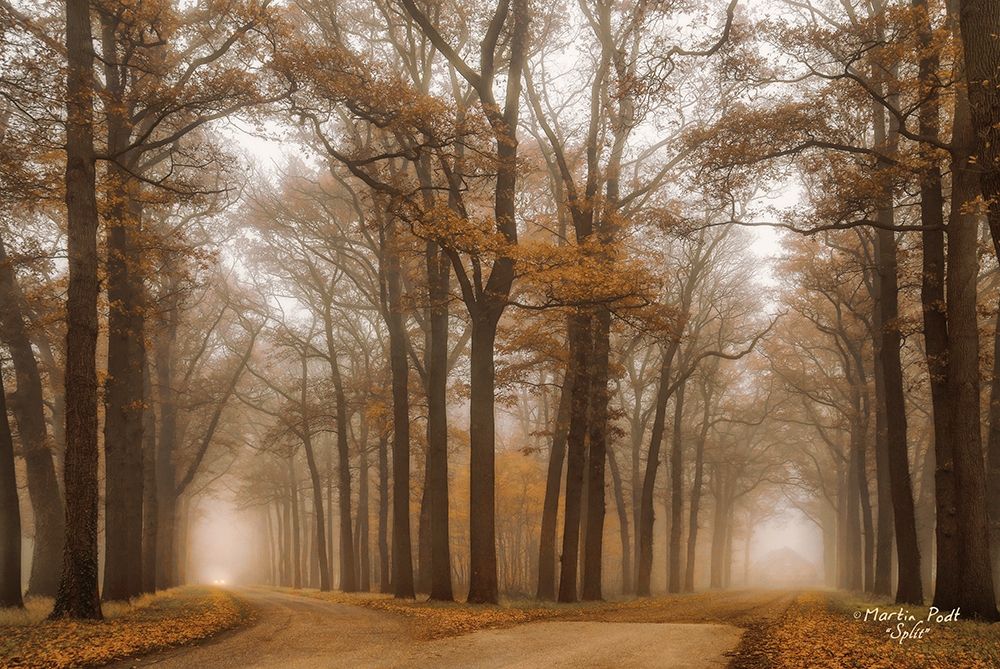 Split Poster Print by Martin Podt - Item # VARPDXMPP282