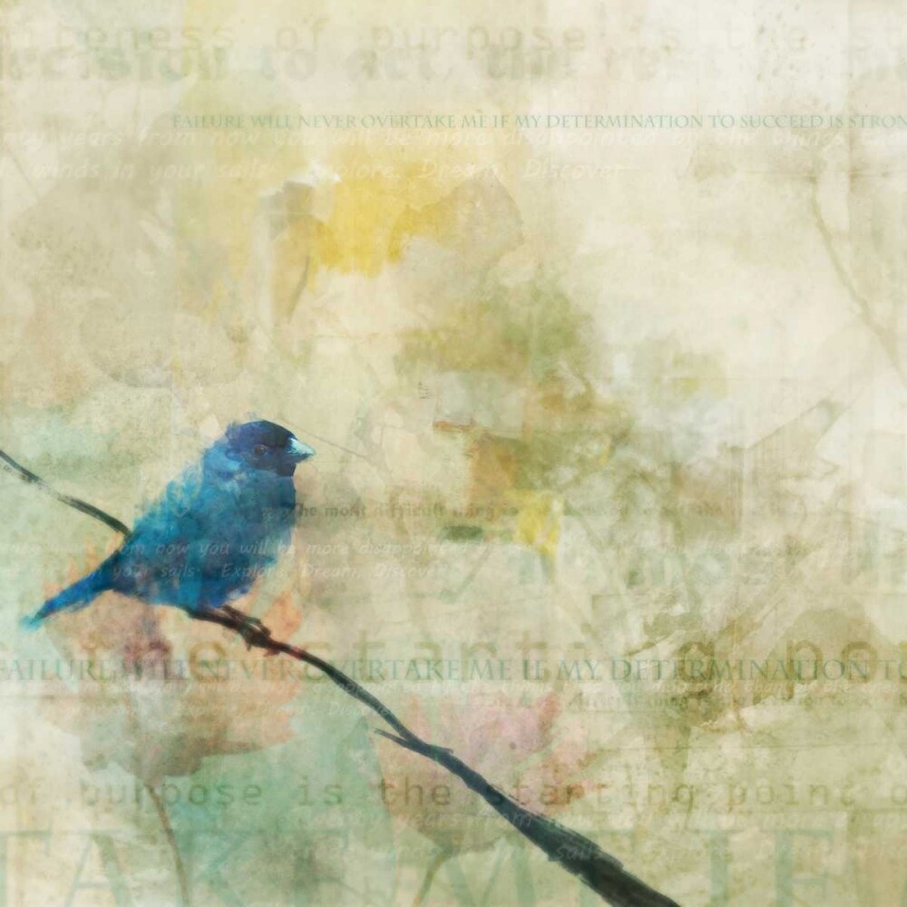 Nesting Bird I Poster Print by Ken Roko - Item # VARPDXKX014A