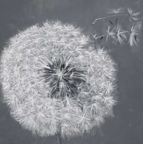 Blowing Dandelion Poster Print by Atelier B Art Studio - Item # VARPDXBEGFLO126