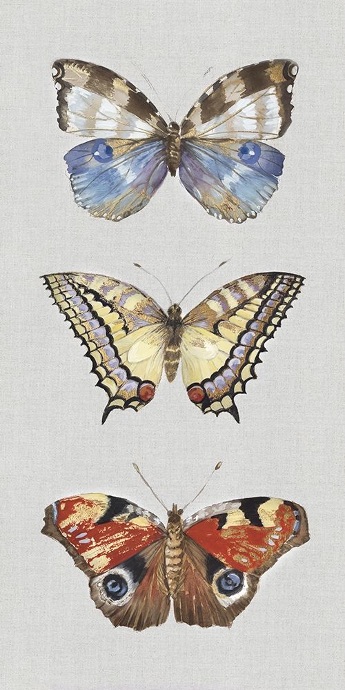Catching Butterflies II  Poster Print by Maya Woods # MW134A