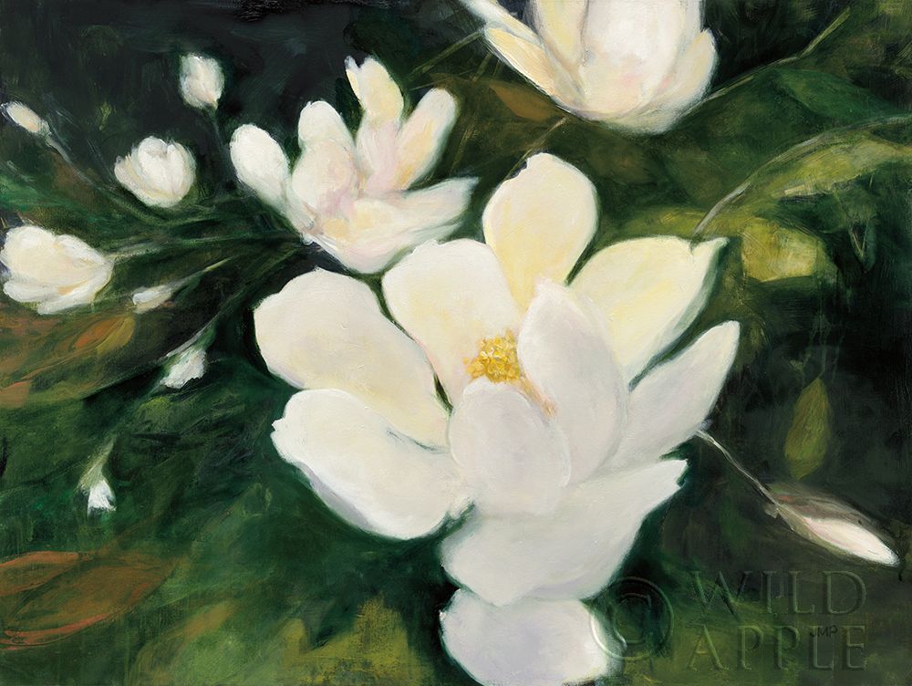 Magnolia Blooms Poster Print by Julia Purinton # 30707G