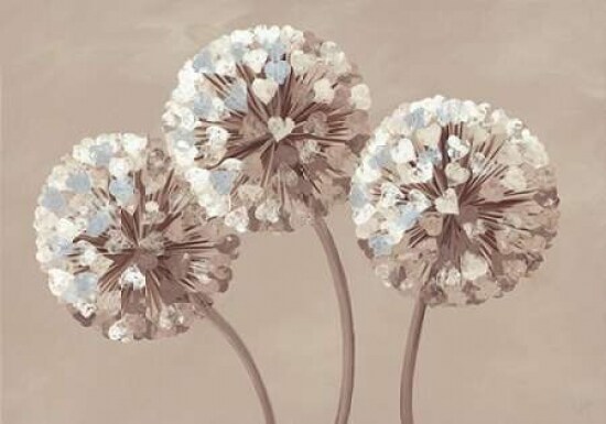 Chocolate Allium Hearts Poster Print by Kaye Lake - Item # VARPDX2544
