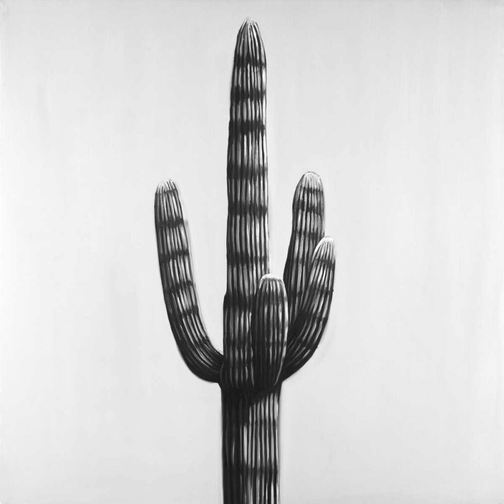 Large Cactus Poster Print by Atelier B Art Studio - Item # VARPDXBEGFLO196