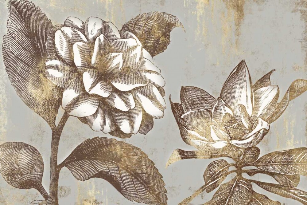 Magnolia Blooms Poster Print by PI Studio - Item # VARPDXPX267A