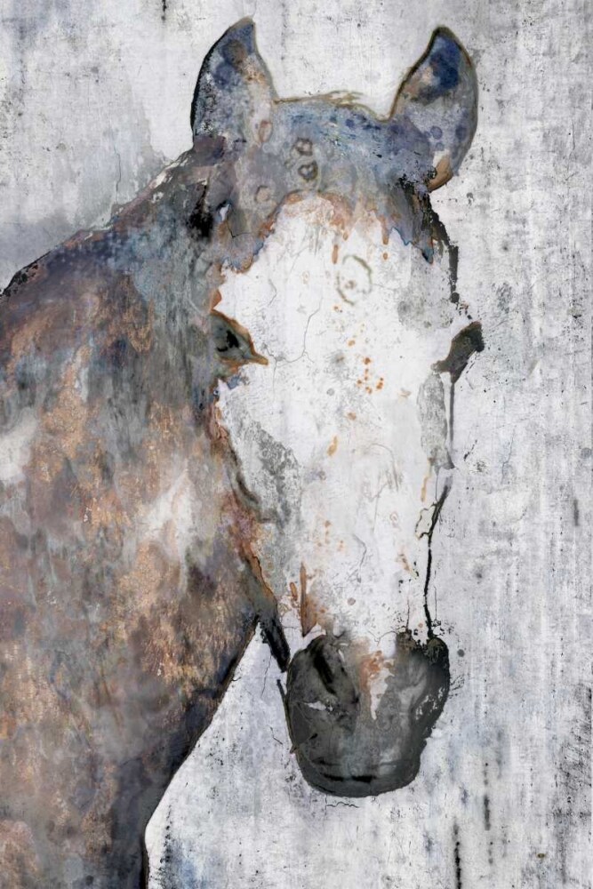 Horse Portrait I Poster Print by Irena Orlov - Item # VARPDXOR320A