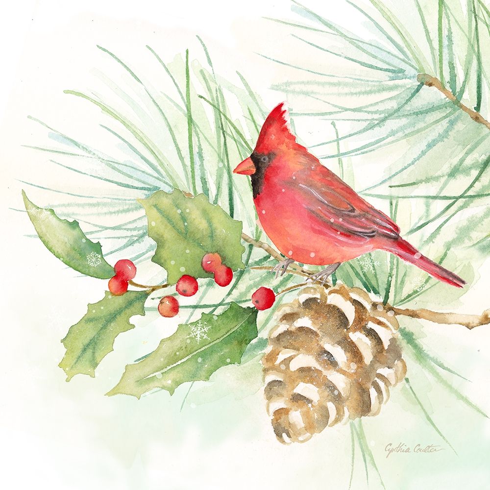Winter Birds Iv Cardinal Poster Print by Cynthia Coulter - Item # VARPDXRB12406CC