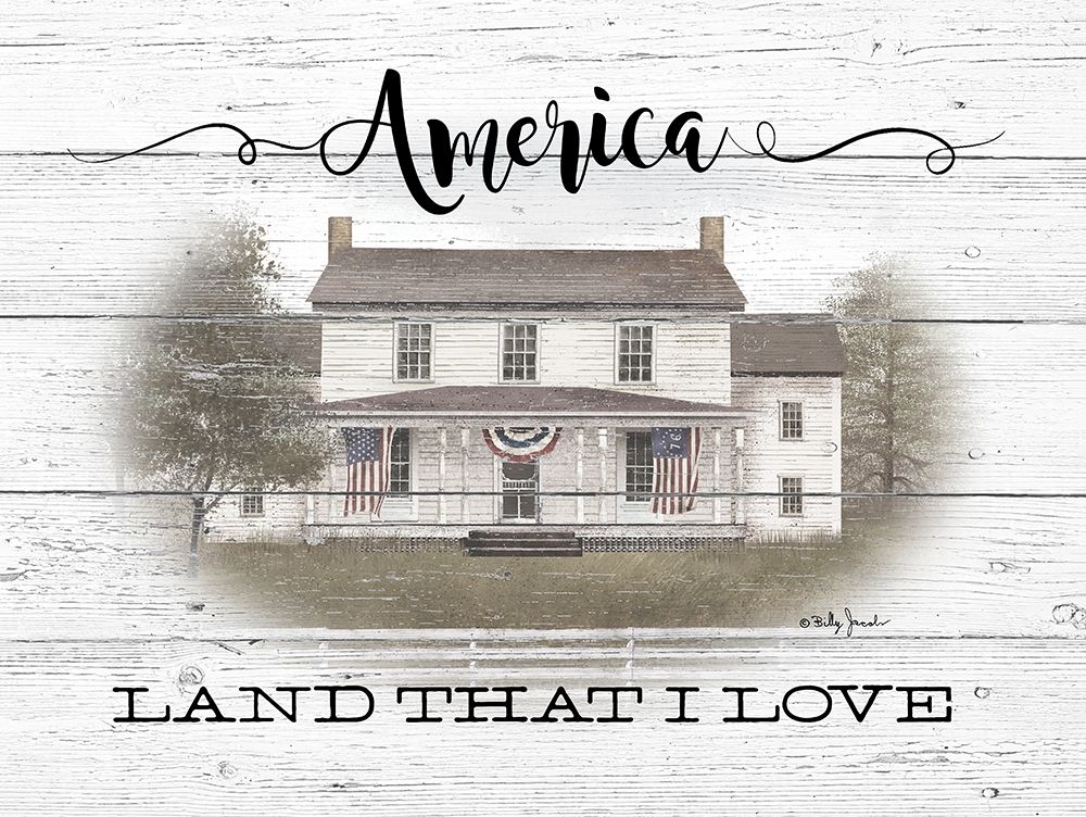 America Poster Print by Billy Jacobs - Item # VARPDXBJ1203