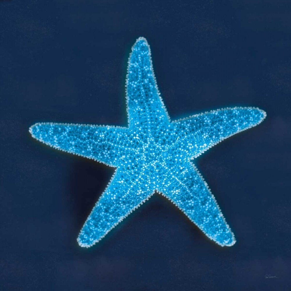 Cyanotype Sea III Poster Print by Sue Schlabach - Item # VARPDX32596HR
