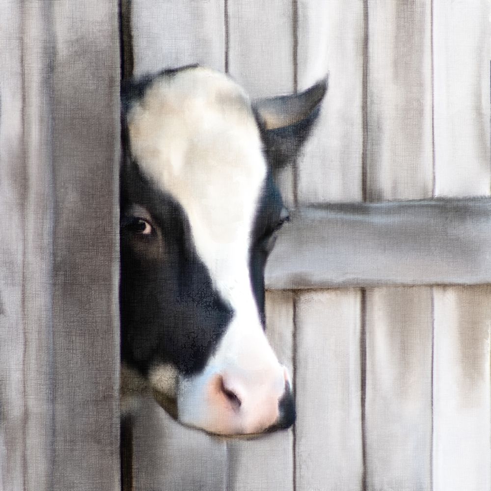 Peeking Cow Poster Print by Ann Bailey # BASQ062