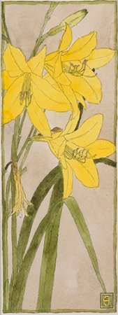 Yellow Daylily Poster Print by Hannah Borger Overbeck - Item # VARPDX460112
