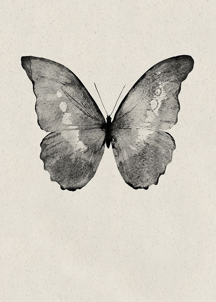 Black Butterfly on Tan Poster Print by Design Fabrikken Design Fabrikken - Item # VARPDXMF9690803