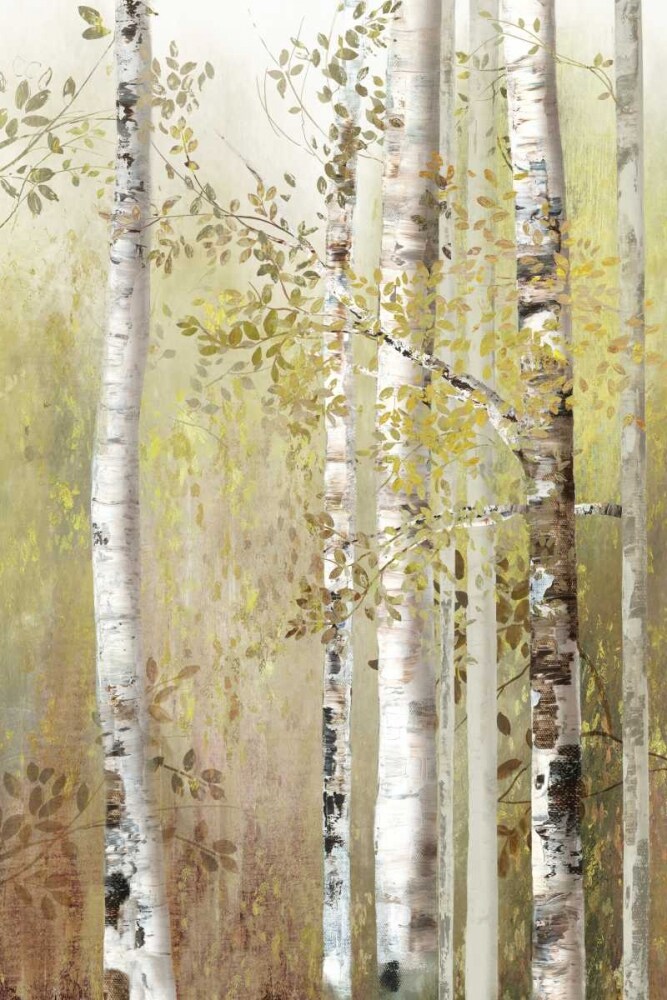 Serenity Birch Poster Print by Allison Pearce - Item # VARPDXPS068A