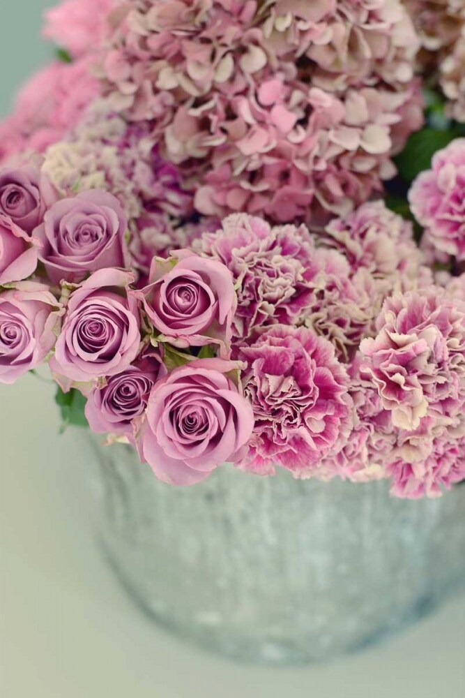 Full of Beauty Poster Print by Sarah Gardner - Item # VARPDX10135