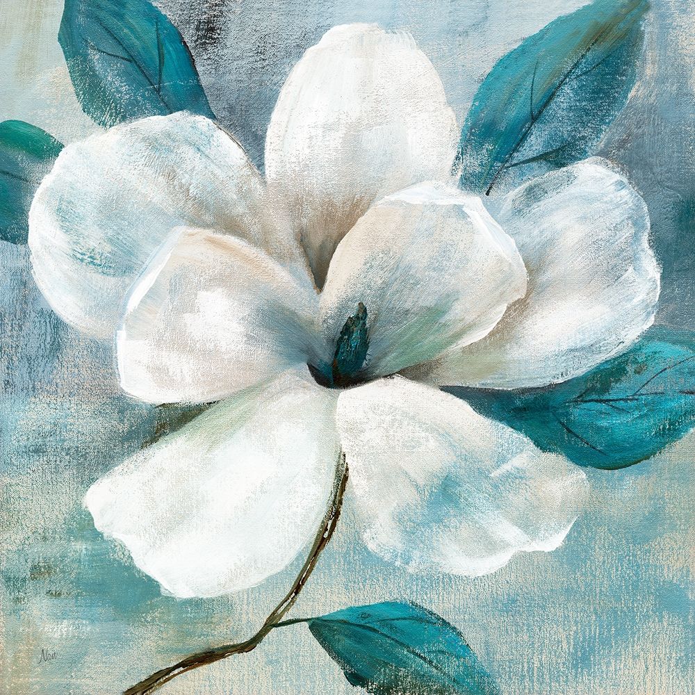 Teal Magnolia I Poster Print by Nan Nan # 43181