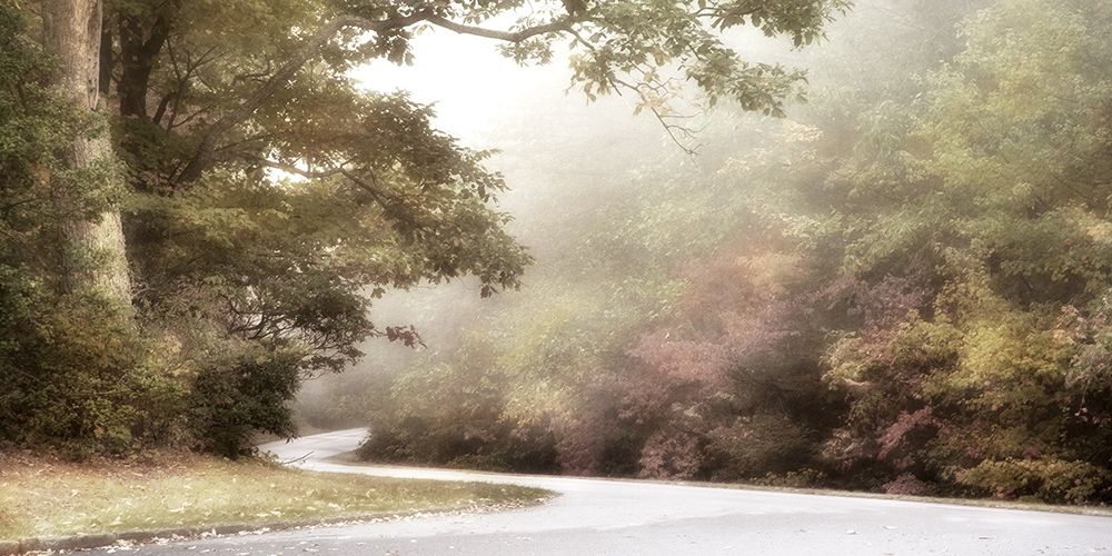Blue Ridge Parkway Poster Print by Dianne Poinski - Item # VARPDXQPDRC024