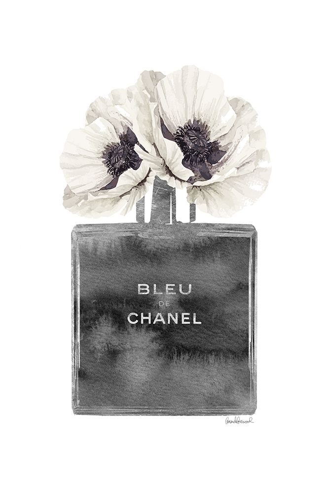 Black Cologne with Poppy Poster Print by Amanda Greenwood # AGD116468